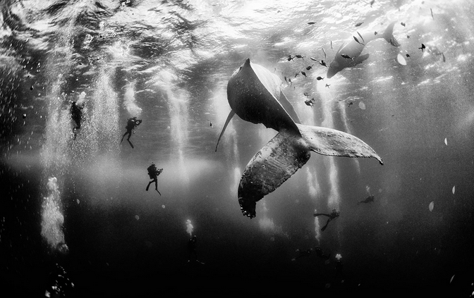 BY FAISAL AZIM FOR THE NATIONAL GEOGRAPHIC TRAVELER PHOTO CONTEST