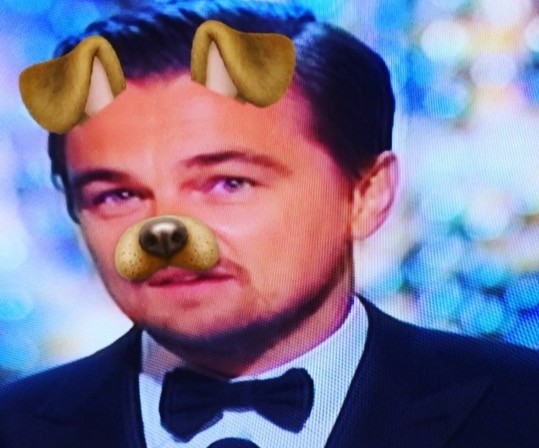 Leo Oscars Memes