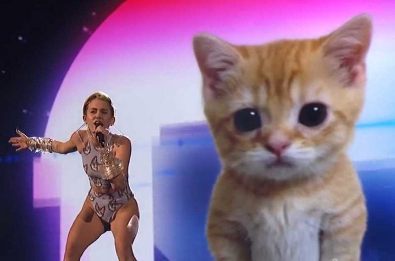 Miley Cyrus Attacked By Pet Cat