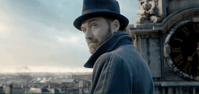 Jude Law Dumbledore Fantastic Beasts Trailer