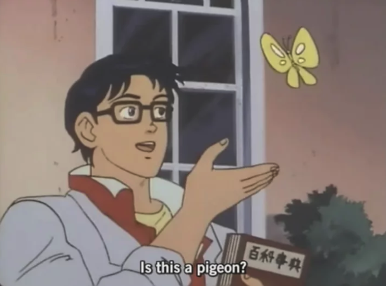 is this a pigeon meme
