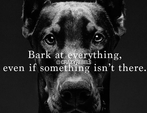 schattig fee breedte Everyone's Copying Nike's Latest Campaign & The Memes Are Out Of Control