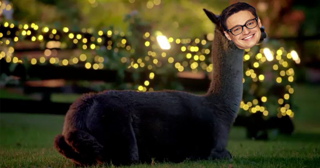 matt llama the bachelor australia