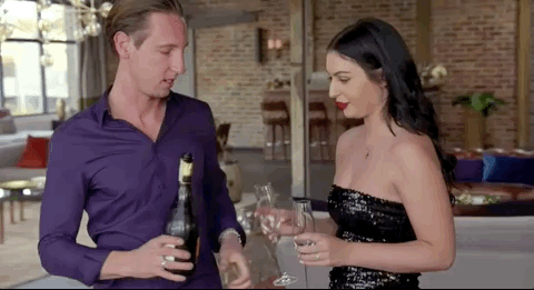 married at first sight aleks ivan dinner party