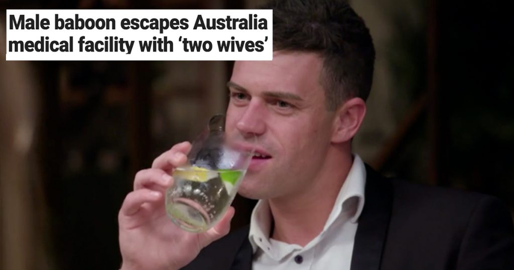 michael married at first sight australia
