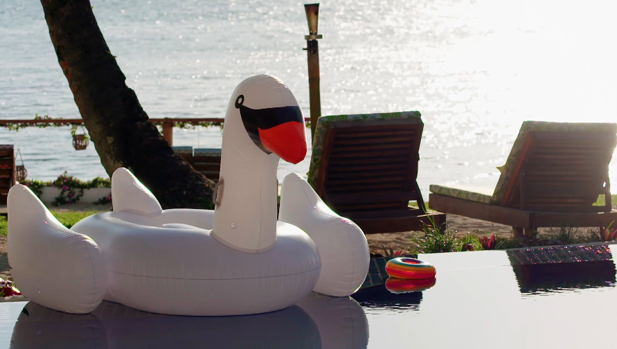 swan bachelor in paradise 
