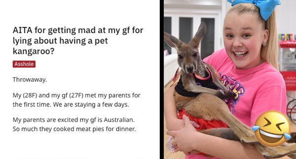 am i the asshole reddit pet kangaroo