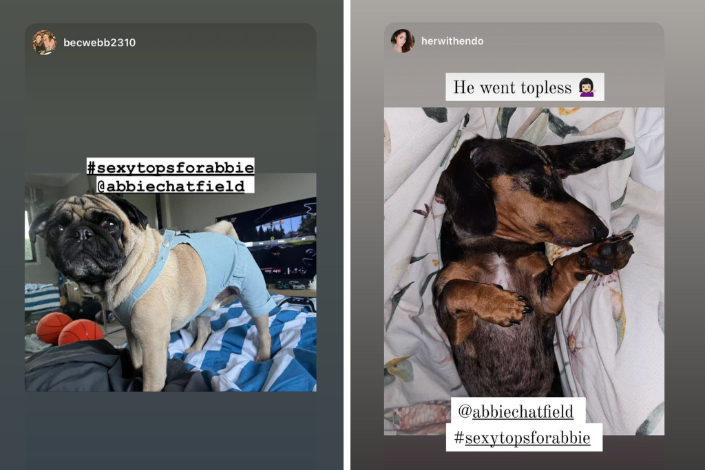 abbie chatfield dog instagram peggyandmolly sponsor sexy tops feud