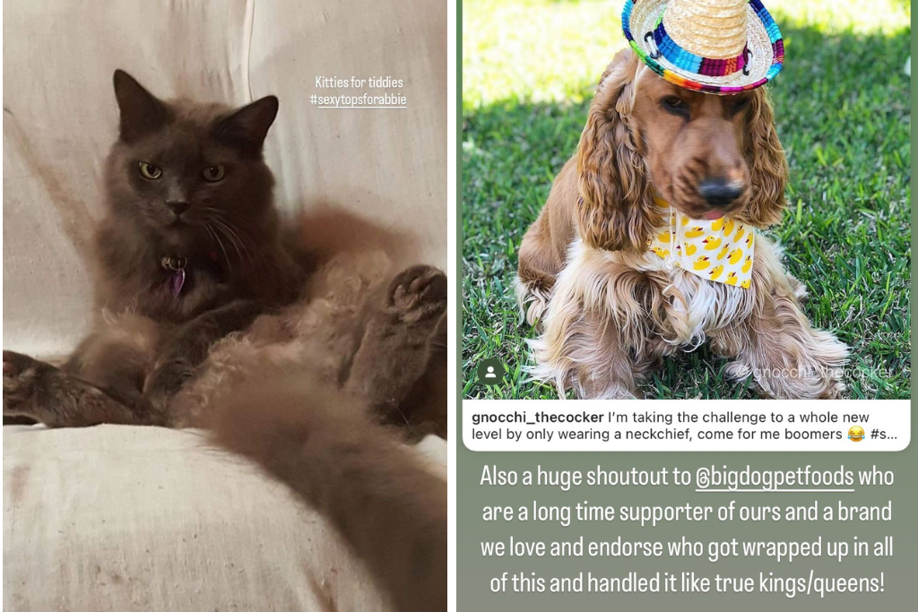 abbie chatfield dog instagram peggyandmolly sponsor sexy tops feud